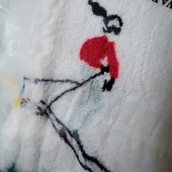 Charter Club Cozy Plush Throws - Picture 4 of 6